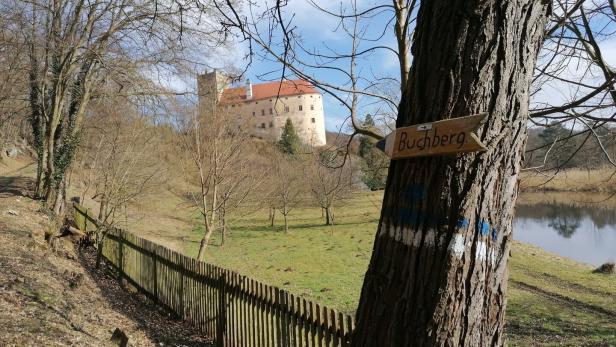 Schloss Buchberg am Kamp, im Vordergrund Wiesen, Bäume und ein Teich